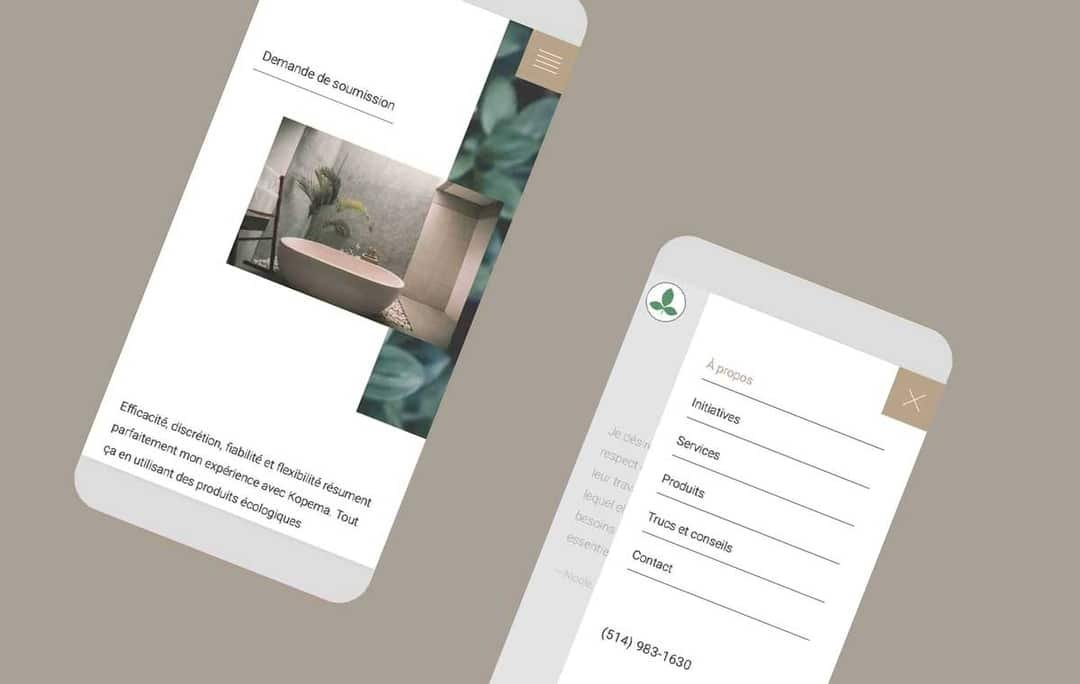 image of a laptop displaying a high end website